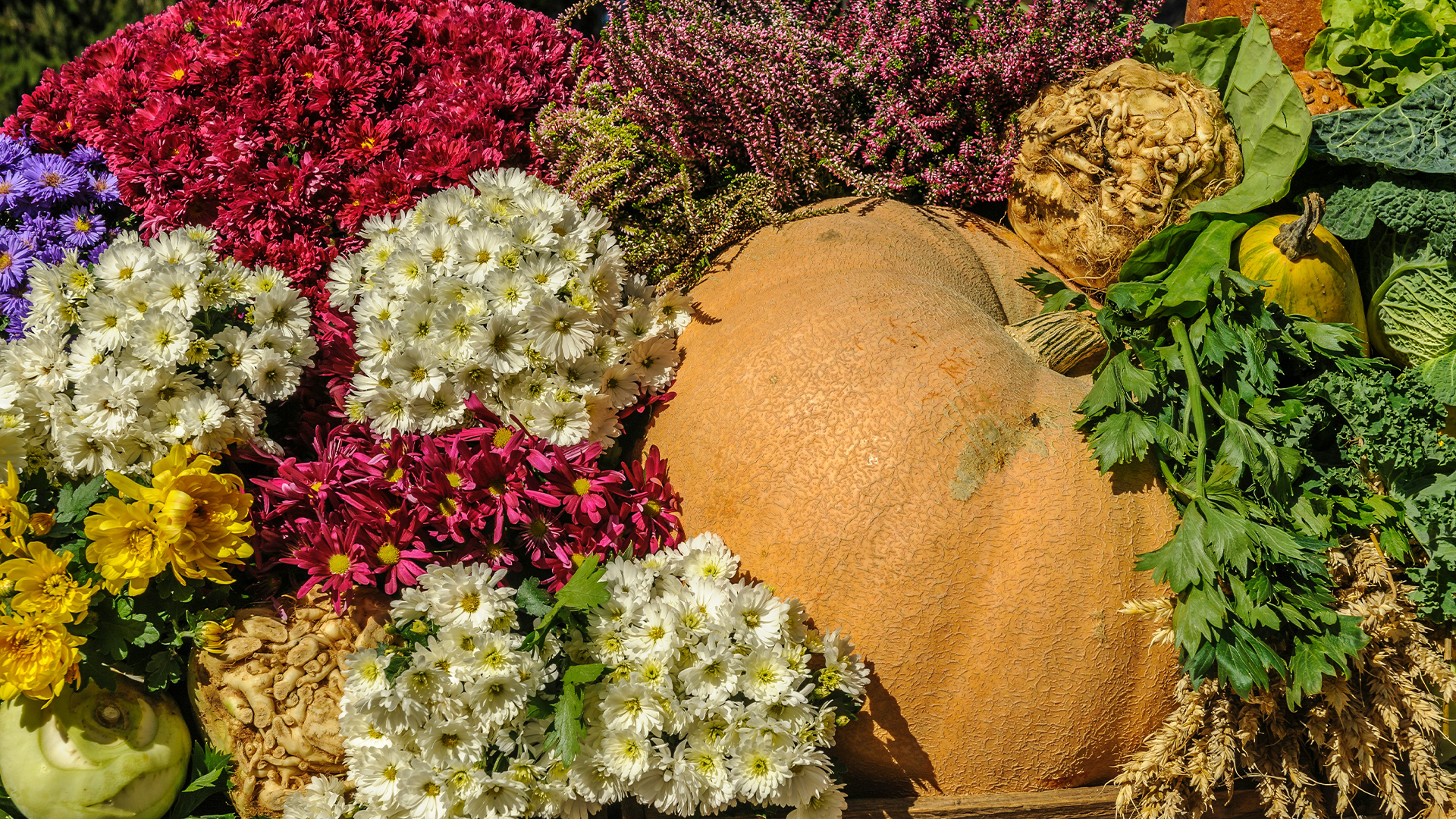 A pumpkin sitting amongst flowers