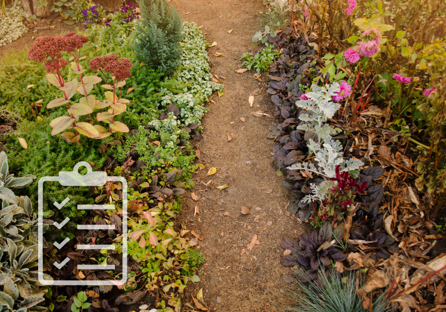 a dirt path winding through a garden