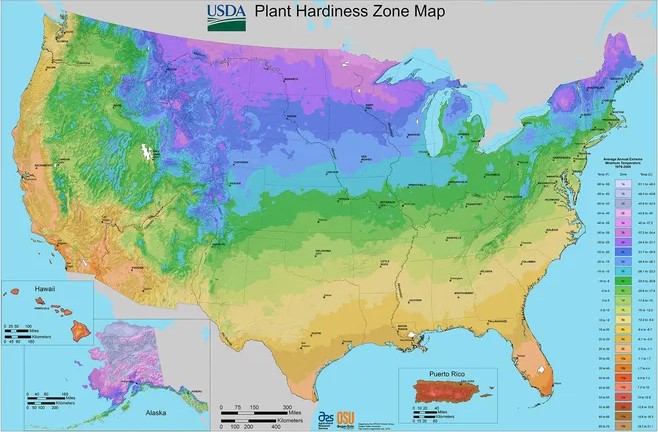 U S D A plant hardiness zone map