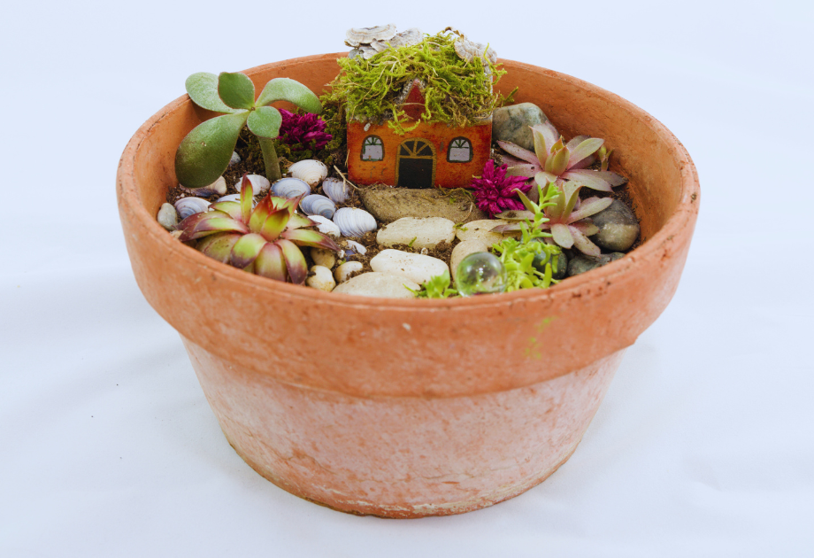 assorted succulents in a terracotta pot with a miniature house 