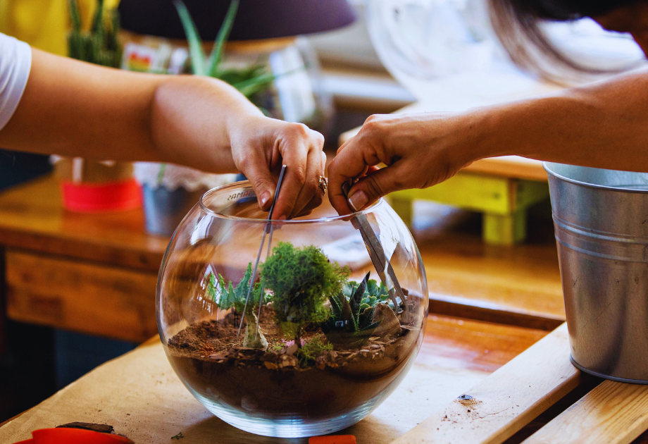 two hands holding tweezer adjust the contents of a terrarium