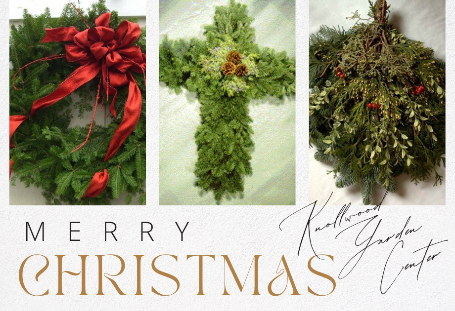 christmas wreaths text reads merry christmas