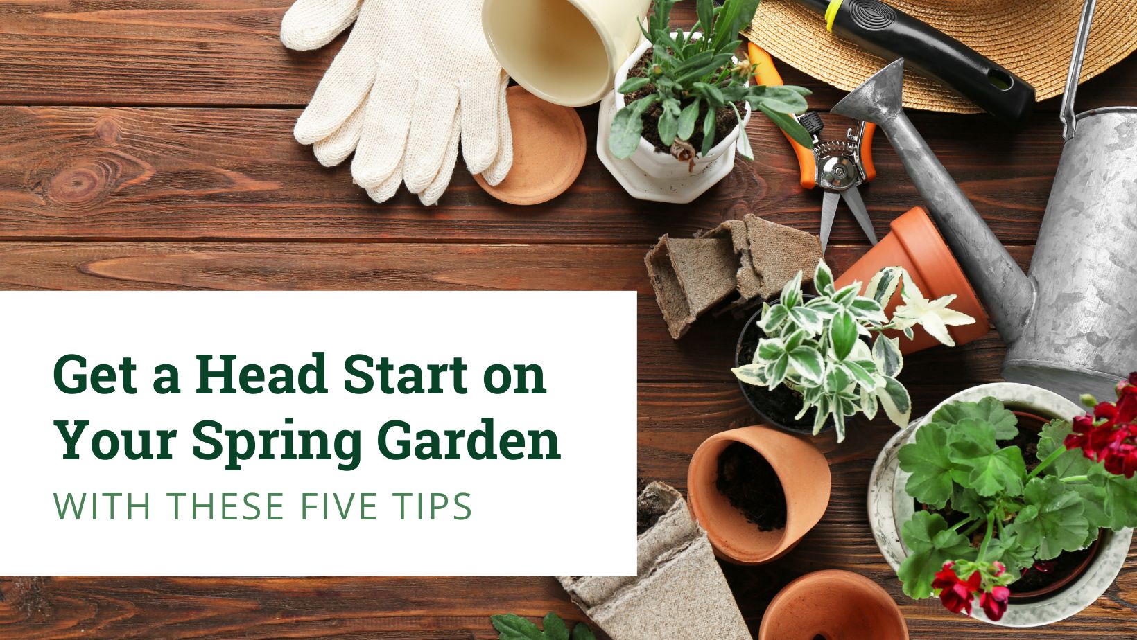 Get a Head Start on Your Spring Garden with These Five Tips | Knollwood ...