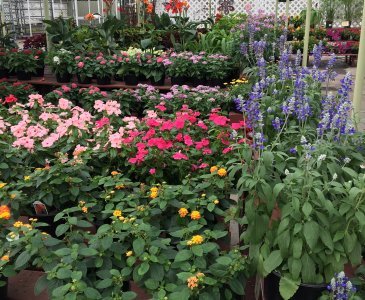 Dayton Garden and Landscape Center | Knollwood Garden Center and ...